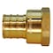 Apollo PEX Barb 3/4 in. x 1/2 in. Brass Female Pipe Thread Adapter APXFA3412 - alternate 3
